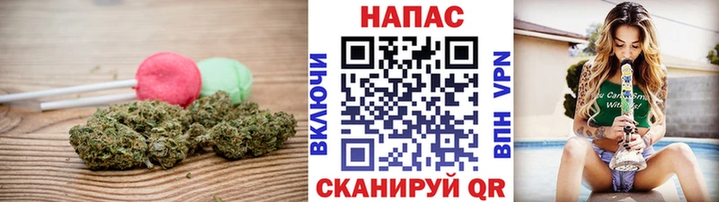 Canna-Cookies марихуана  купить  сайты  Чкаловск 