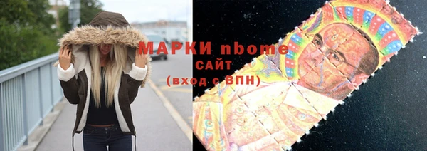 мет Алексин