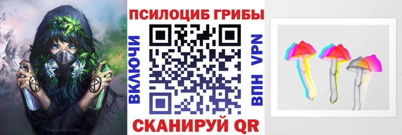 купить наркоту  Чкаловск  площадка Telegram  Галлюциногенные грибы мухоморы 